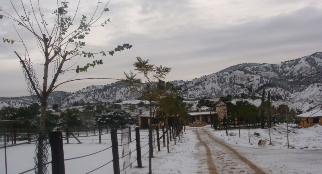 Diversion en invierno